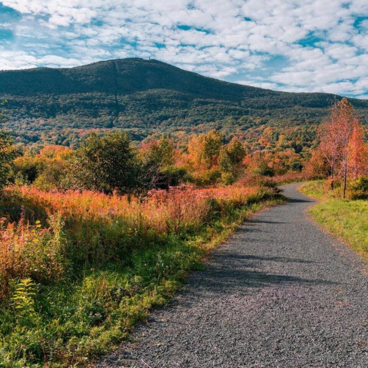 2 Bed Berkshire Getaway Minutes To Jiminy Peak Ski Hancock Ngoại thất bức ảnh